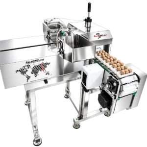 Automatic Conveyor Skewering Machine
